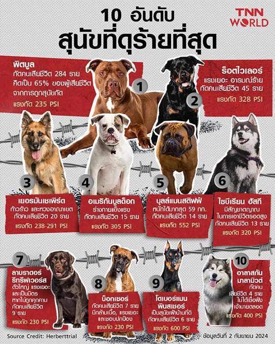 10 อันดับสุนัขที่ดุร้ายที่สุดจากผลการศึกษาสหรัฐฯ นาน 13 ปี 10 อันดับสุนัขที่ดุร้ายที่สุดจากผลการศึกษาสหรัฐฯ นาน 13 ปี
