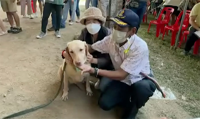 โคราชคึกคักประมูล ‘สุนัขทหารสอบตก’ นำไปเป็นสัตว์เลี้ยง ราคาสูงสุดเกือบแสน โคราชคึกคักประมูล ‘สุนัขทหารสอบตก’ นำไปเป็นสัตว์เลี้ยง ราคาสูงสุดเกือบแสน