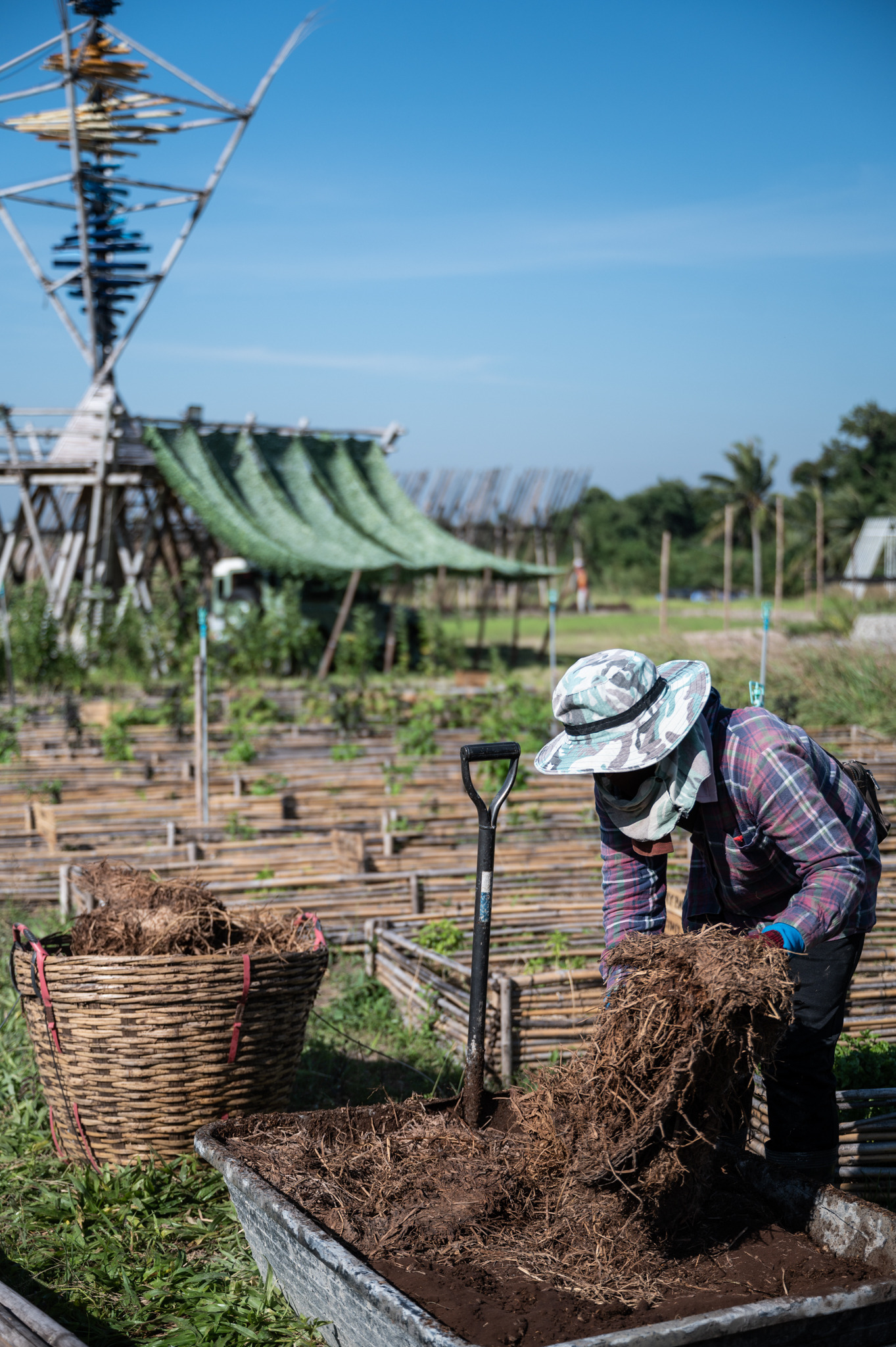 เนสเพรสโซจับมือวันเดอร์ฟรุ๊ต จัดกิจกรรม Nespresso x Wonderfruit Rice & Roast: Journey to Sustainable Farming