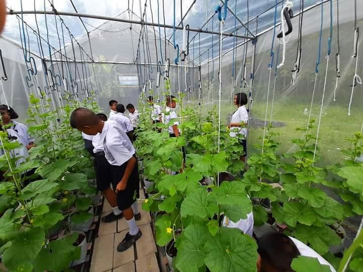 CPF สานพลังพนักงานร่วมสร้างคุณค่าทางสังคม ขับเคลื่อน CPF 2030 Sustainability in Action CPF สานพลังพนักงานร่วมสร้างคุณค่าทางสังคม ขับเคลื่อน CPF 2030 Sustainability in Action