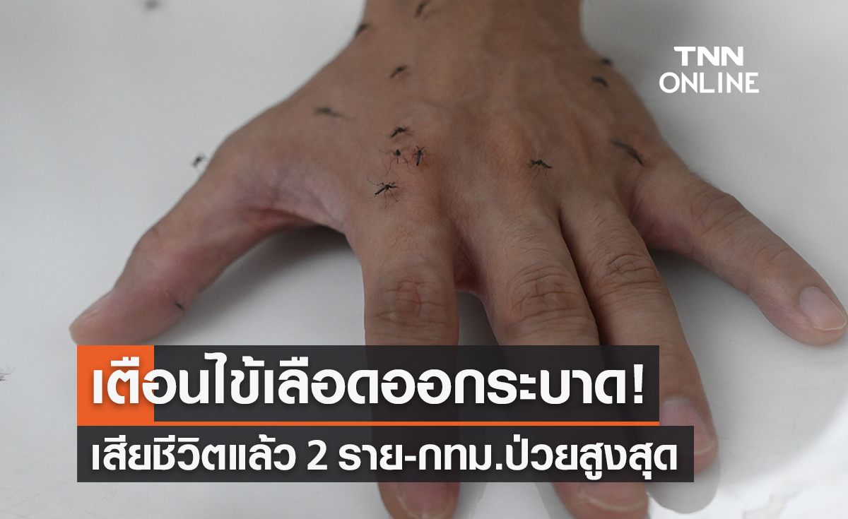 เตือน!ไข้เลือดออกระบาด เสียชีวิตแล้ว 2 กทม.ป่วยสูงสุด