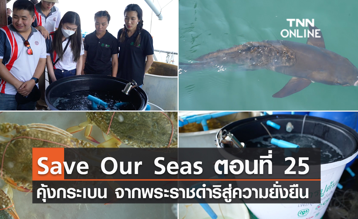 (คลิป) Save Our Seas ตอนที่ 25 คุ้งกระเบน จากพระราชดำริสู่ความยั่งยืน