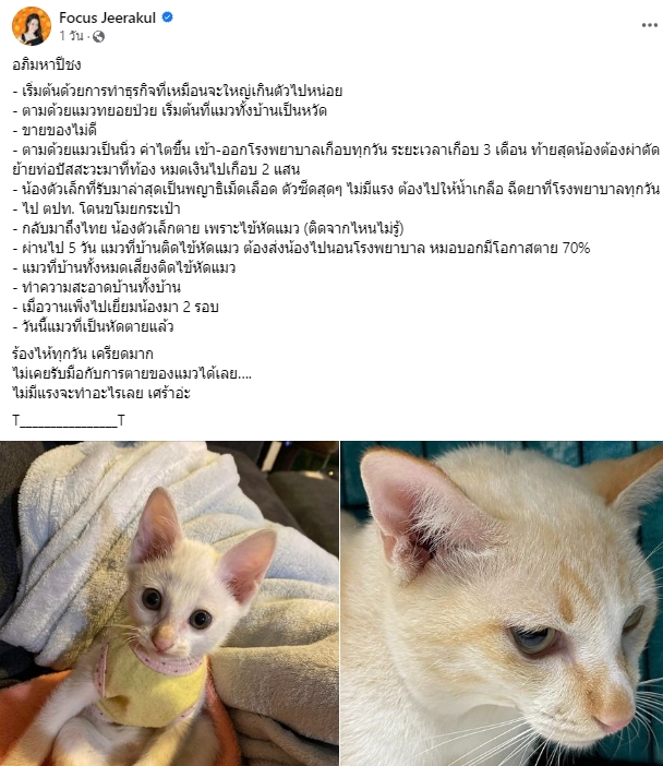 โฟกัส จีระกุล ตัดพ้อเจอปีชงหนัก ทำเครียด ร้องไห้ทุกวัน โฟกัส จีระกุล ตัดพ้อเจอปีชงหนัก ทำเครียด ร้องไห้ทุกวัน