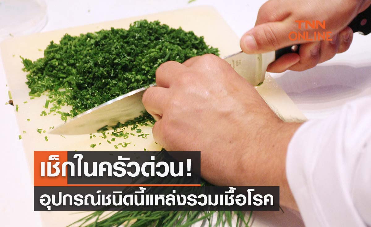 เช็กในครัวด่วน! อุปกรณ์ชนิดนี้แหล่งรวมเชื้อโรค แนะวิธีทำความสะอาดปลอดภัย