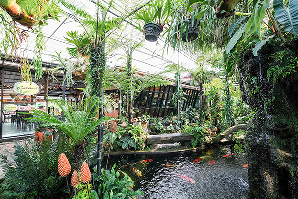 9 คาเฟ่นครนายก ฟีลกู๊ด เปิดรับอากาศบริสุทธิ์ 9 คาเฟ่นครนายก ฟีลกู๊ด เปิดรับอากาศบริสุทธิ์