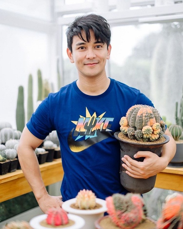  “กัน นภัทร” ขยายพันธุ์ แคคตัส สร้างรายได้ มีแพลนเปิดเป็นคาเฟ่ (มีคลิป) 