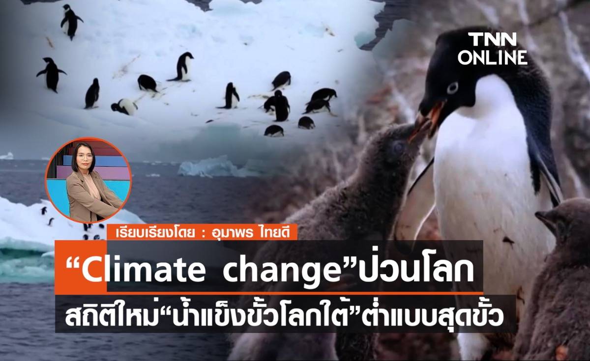 “Climate change”ป่วนโลก สถิติใหม่ “น้ำแข็งขั้วโลกใต้” ต่ำแบบสุดขั้ว    