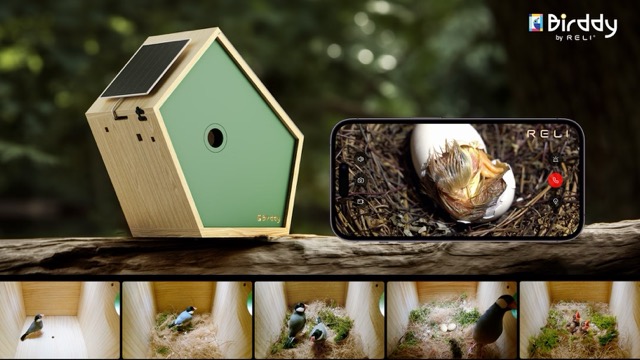 บ้านนกอัจฉริยะ “birddy” พื้นที่ปลอดภัยของนกน้อยใกล้บ้านคุณ