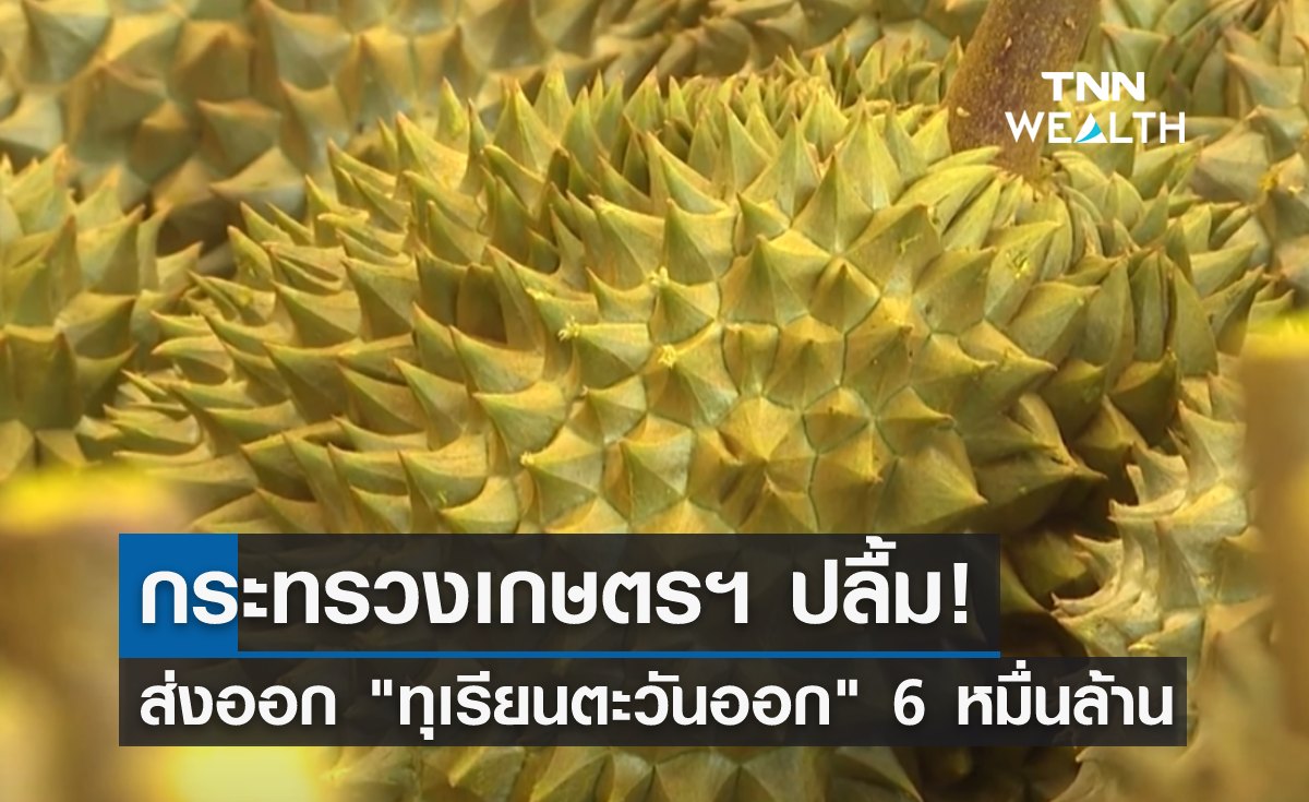 กระทรวงเกษตรฯ ปลื้ม! ส่งออก "ทุเรียนตะวันออก" ทะลุ 6 หมื่นล้าน