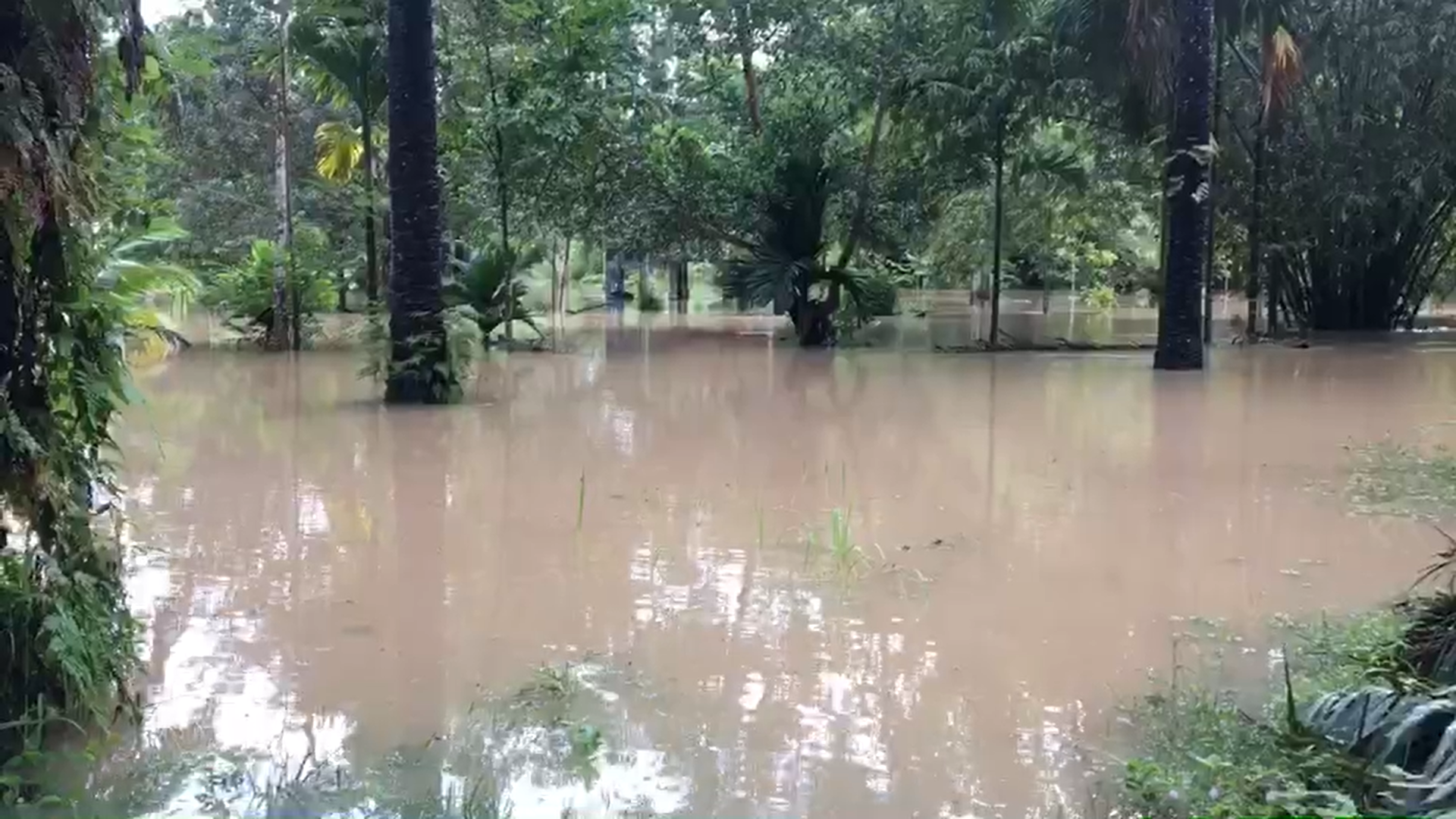 น้ำท่วมกระบี่ เตือนประชาชนขนของขึ้นที่สูง ฝนตกหนัก-น้ำหลาก 