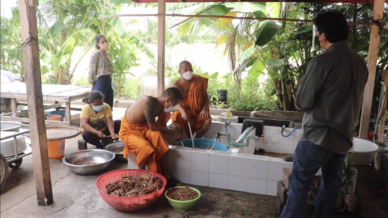 น้ำใจยุคโควิด! เจ้าอาสวัดนนทบุรี ทำน้ำกระชายขาวแจกฟรี
