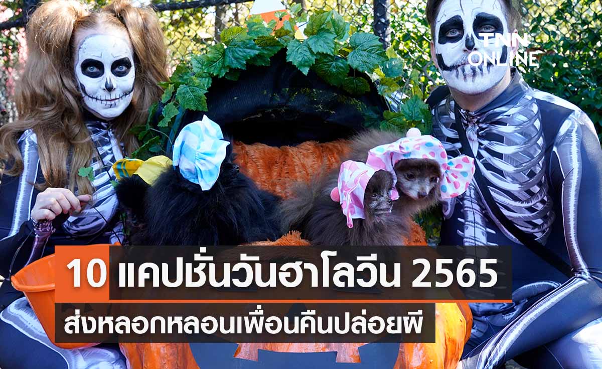 10 แคปชั่น-อวยพรฉลอง ‘วันฮาโลวีน 2565’ ส่งหลอกหลอนเพื่อนคืนปล่อยผี 10 แคปชั่น-อวยพรฉลอง ‘วันฮาโลวีน 2565’ ส่งหลอกหลอนเพื่อนคืนปล่อยผี