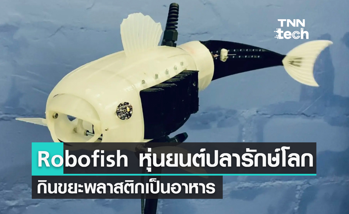 Robofish หุ่นยนต์ปลารักษ์โลก กินไมโครพลาสติกเป็นอาหาร