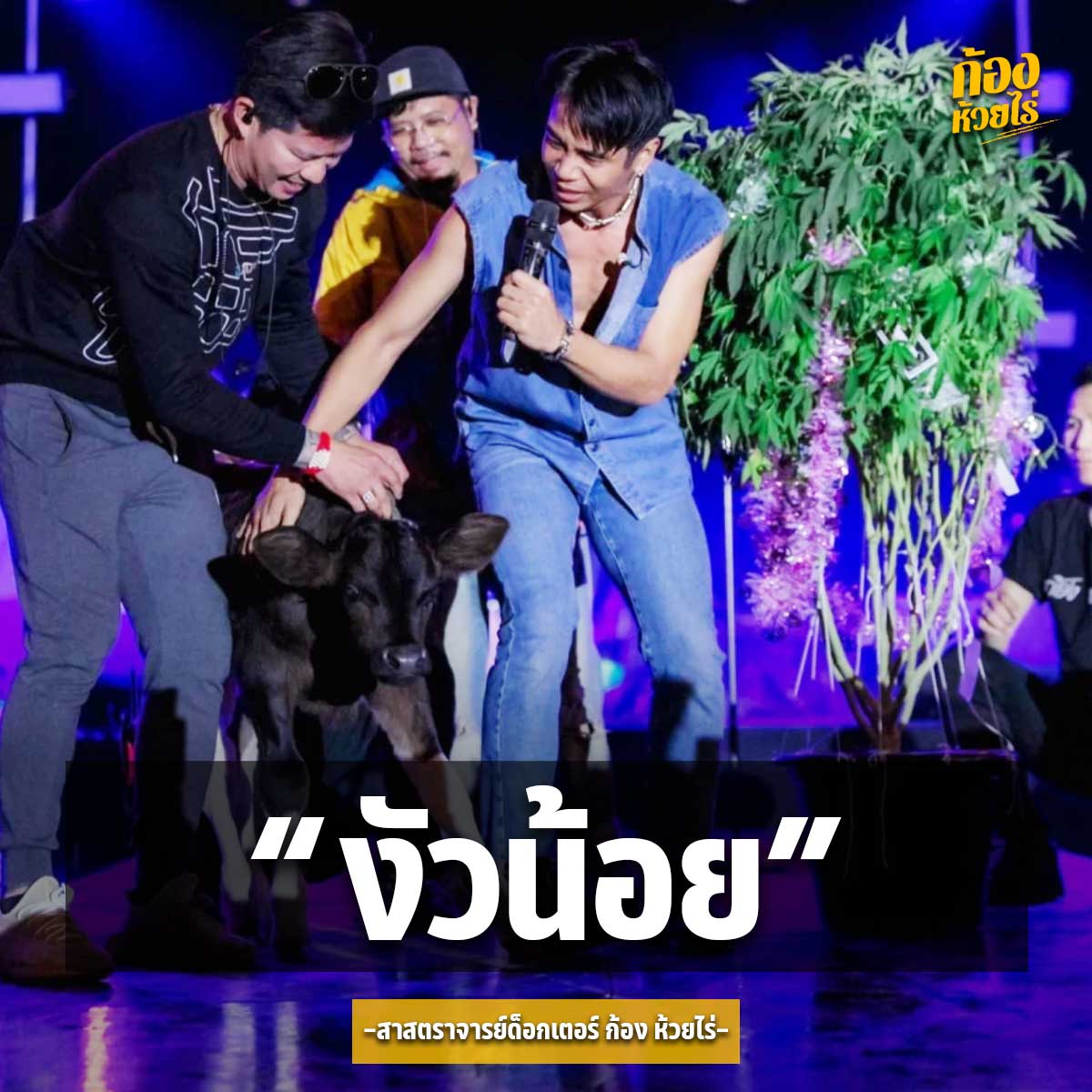 ของฝากเป็นเหตุ ชาวเน็ตจีนแชร์คลิป ก้อง ห้วยไร่ รับของฝากจากแฟนคลับขณะแสดงคอนเสิร์ต ของฝากเป็นเหตุ ชาวเน็ตจีนแชร์คลิป ก้อง ห้วยไร่ รับของฝากจากแฟนคลับขณะแสดงคอนเสิร์ต