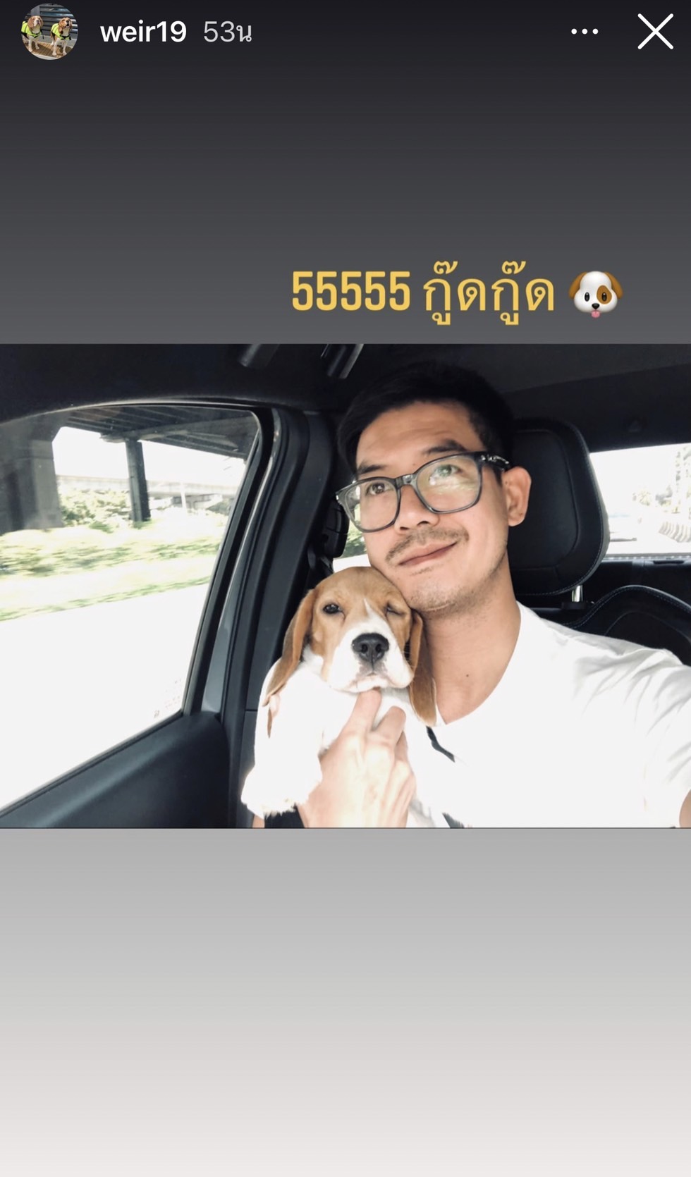 เวียร์ ลงไอจีสตอรี่ล่าสุด ภาพคู่น้องหมาสุดน่ารัก เวียร์ ลงไอจีสตอรี่ล่าสุด ภาพคู่น้องหมาสุดน่ารัก