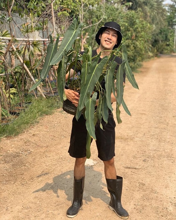เคน ภูภูมิ เปิดประมูลกล้วยด่าง ไม่กี่ชั่วโมงได้ราคาเกินแสน (มีคลิป) เคน ภูภูมิ เปิดประมูลกล้วยด่าง ไม่กี่ชั่วโมงได้ราคาเกินแสน (มีคลิป)