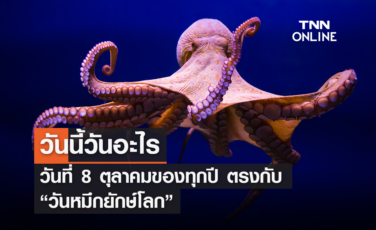 วันนี้วันอะไร 8 ตุลาคม ตรงกับ “วันหมึกยักษ์โลก”