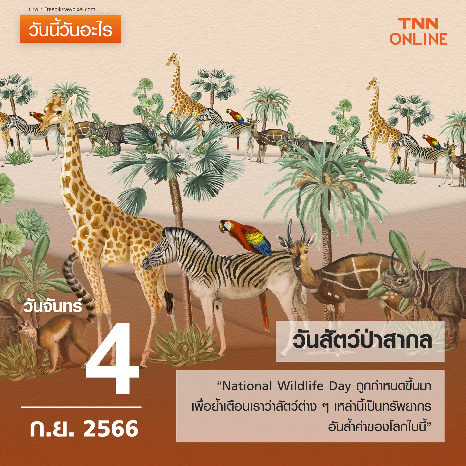 วันนี้วันอะไร 4 กันยายน ตรงกับ “วันสัตว์ป่าสากล”