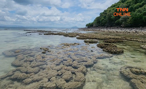 อุณหภูมิโลกไต่ระดับร้อนสูงเกินเกณฑ์ จ่อเพิ่มแตะ 2°C โลกเตรียมรับอากาศรุนแรงสุดขั้ว อุณหภูมิโลกไต่ระดับร้อนสูงเกินเกณฑ์ จ่อเพิ่มแตะ 2°C โลกเตรียมรับอากาศรุนแรงสุดขั้ว