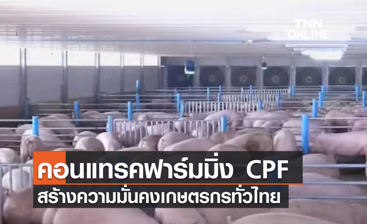 (คลิป) คอนแทรคฟาร์มมิ่ง CPF สร้างความมั่นคงเกษตรกรทั่วไทย สร้างผลตอบแทนทางสังคมทุกมิติ