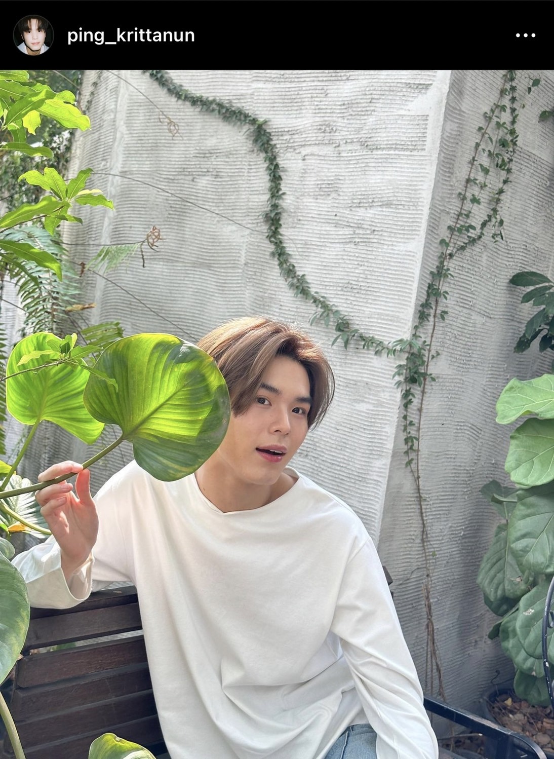 แฟนๆ แห่ยินดี ปิง กฤตนัน คว้ารางวัลนักแสดงดาวรุ่งแห่งปี แฟนๆ แห่ยินดี ปิง กฤตนัน คว้ารางวัลนักแสดงดาวรุ่งแห่งปี