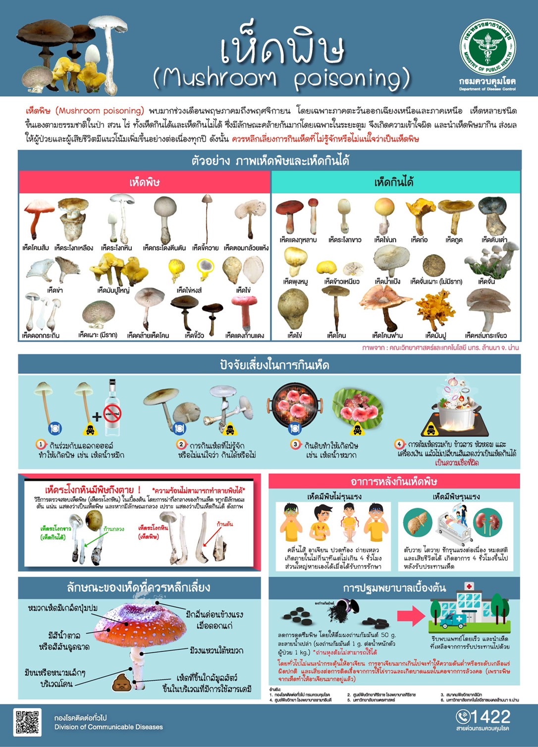 เห็ดพิษ สังเกตุอย่างไร? แพทย์เตือน! ไม่รู้จัก-ไม่แน่ใจ-ไม่กิน  เสี่ยงเสียชีวิตได้ 