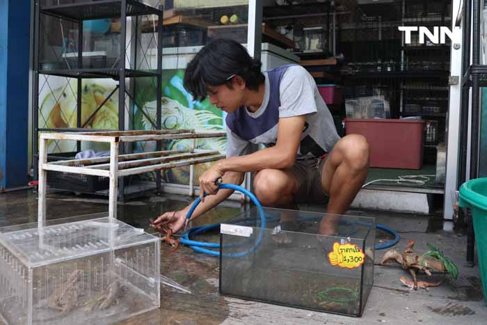 ไฟไหม้ตลาดสัตว์เลี้ยงจตุจักร วอด 118 ร้านค้า คาดสัตว์ตายนับ 1,000 ตัว ไฟไหม้ตลาดสัตว์เลี้ยงจตุจักร วอด 118 ร้านค้า คาดสัตว์ตายนับ 1,000 ตัว