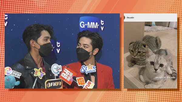 “เอิร์ท – มิกซ์” คลั่งรักแมว เปย์หนักสร้างห้อง250,000 บาท (มีคลิป)   