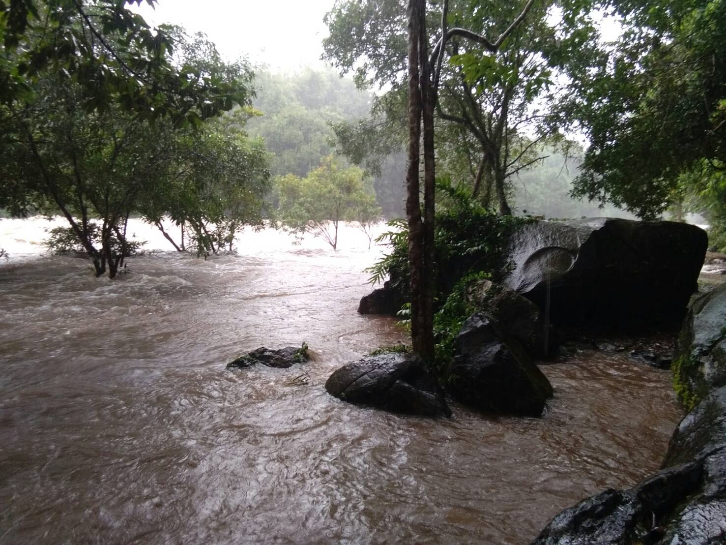 ประมวลภาพ ฝนถล่มปราจีน น้ำป่าหลากท่วมหมู่บ้านตีนเขาทับลาน