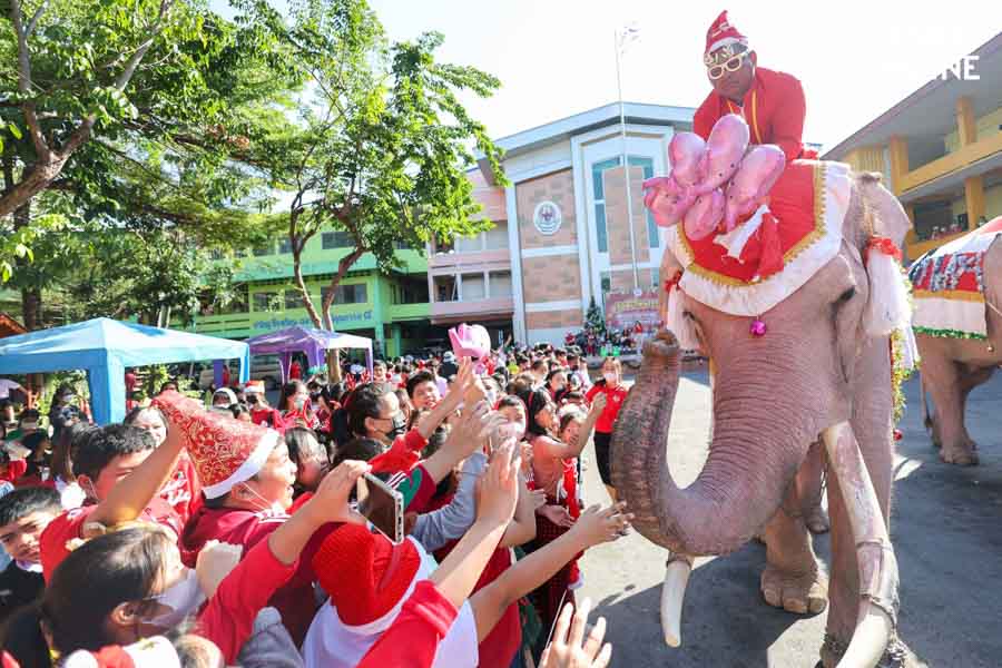 ช้างแปลงโฉมซานตาคลอส มอบความสุขในเทศกาลคริสต์มาส