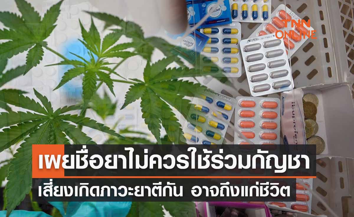 เช็กรายชื่อยาไม่ควรใช้ร่วมกัญชาอาจเกิดภาวะ “ยาตีกัน” เสี่ยงเสียชีวิต