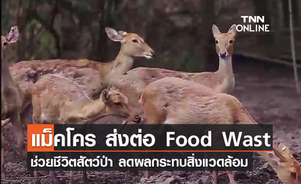 (คลิป) EP.1 แม็คโคร ส่งต่อ Food Wast ช่วยชีวิตสัตว์ป่า ลดผลกระทบสิ่งแวดล้อม