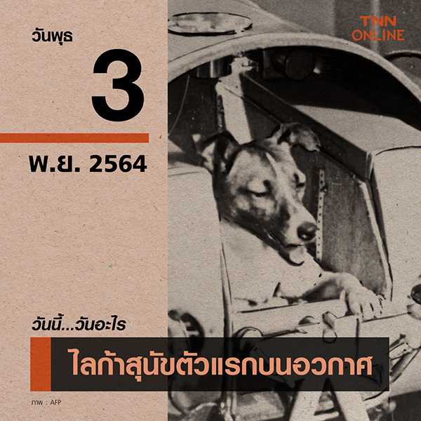 วันนี้วันอะไร ไลก้า สุนัขตัวแรกโคจรรอบโลก ตรงกับวันที่ 3 พฤศจิกายน