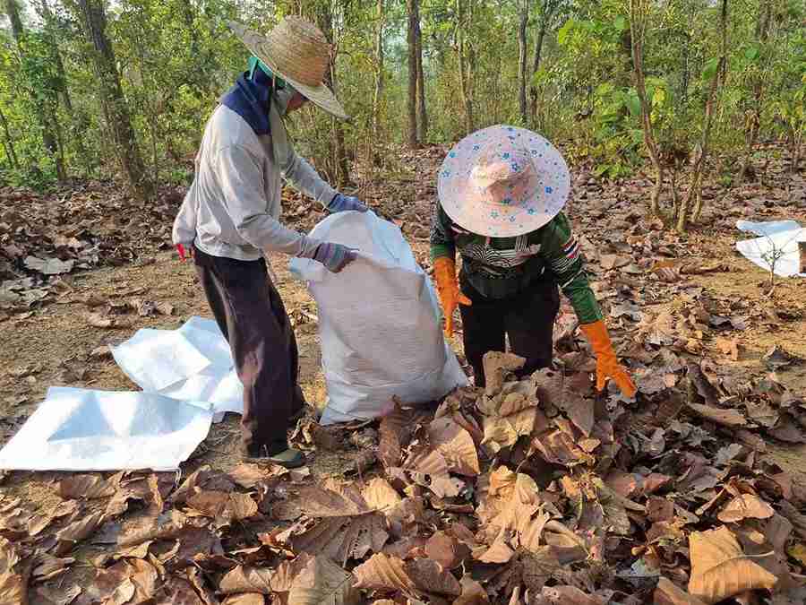 เครือซีพีจับมือกับชุมชน อ.เวียงแหง จ.เชียงใหม่ ชูโครงการ “ป่าปลอดเผา” สร้างชุมชนต้นแบบป้องกันไฟป่า ลดฝุ่น PM2.5 แนวเขตชายแดนไทย-พม่า