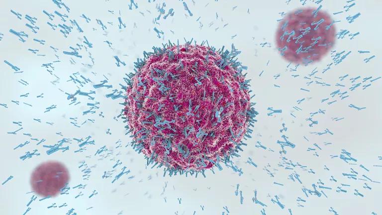 Super Antibody ภูมิคุ้มกันยอดมนุษย์ กัน COVID-19 ได้ทุกสายพันธุ์