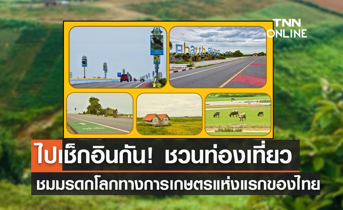 ชวนเที่ยวชมมรดกโลก! ทางการเกษตรแห่งแรกของไทย ไปถ่ายรูปเช็กอินกัน