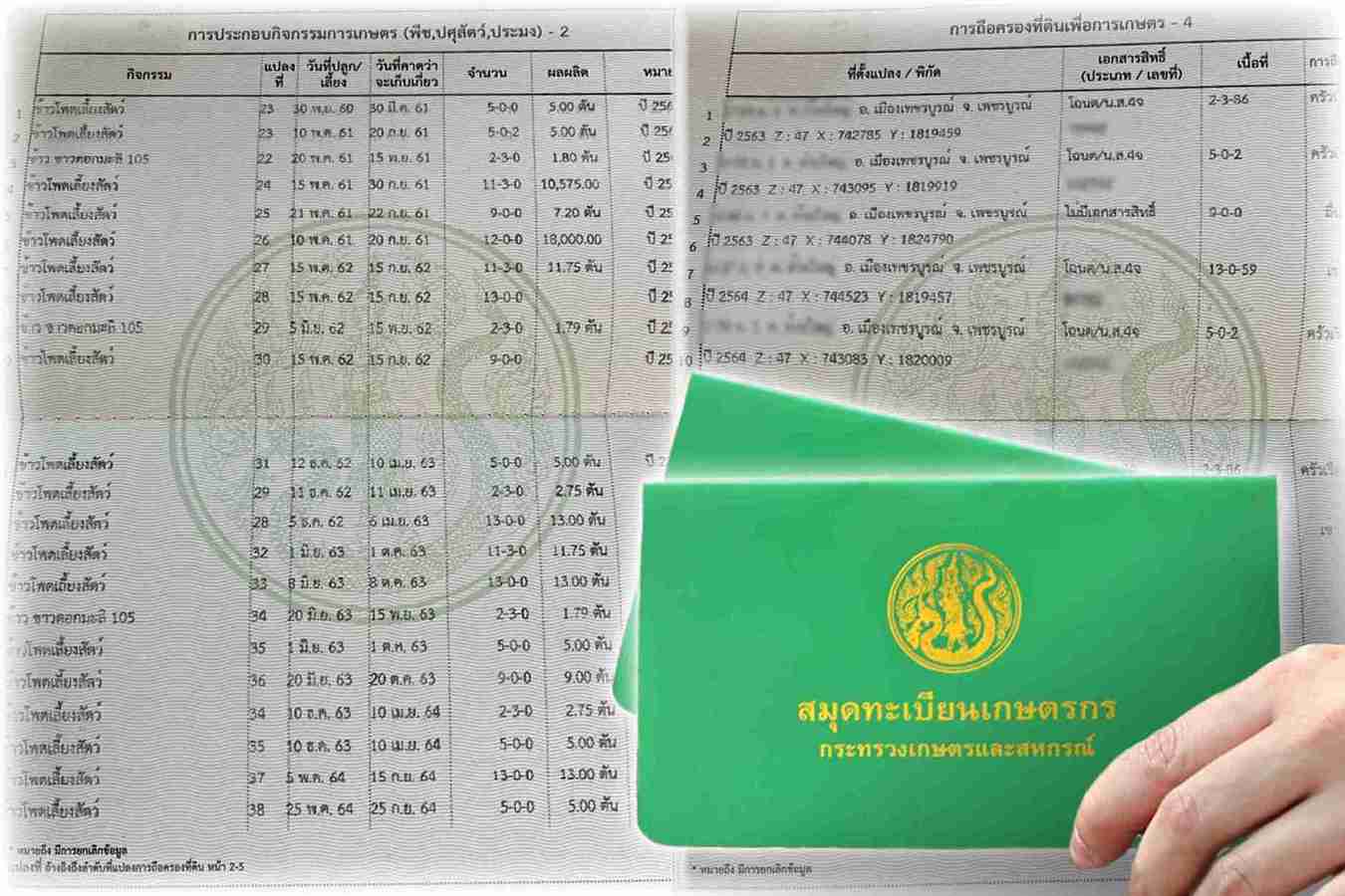 เกษตรกร ชี้ซีพีเป็นรายเดียวเข้มนโยบายตรวจสอบย้อนกลับ ไม่รับซื้อข้าวโพดเลี้ยงสัตว์ที่มาจากการเผาและไม่มีเอกสารสิทธิ์