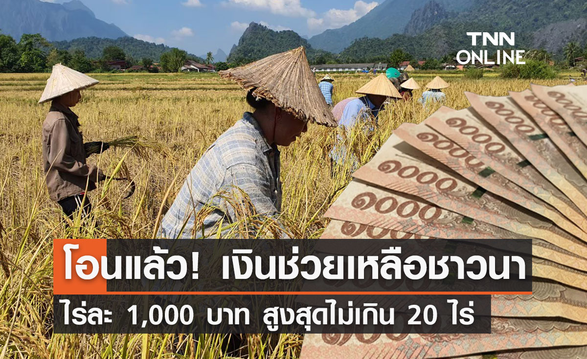 เงินช่วยเหลือชาวนาไร่ละ 1,000 บาท โอนเงินแล้วงวดแรกวันนี้ 28 พ.ย.