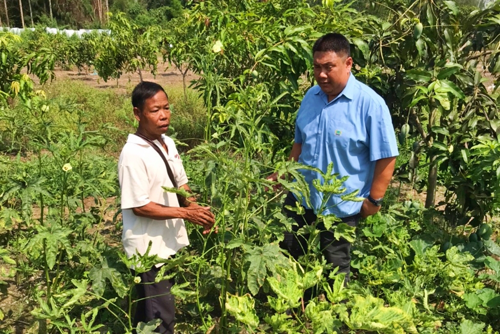 ปันน้ำปุ๋ยสู่เกษตรกร CPF ช่วยเกษตรกรก้าวผ่านวิกฤตภัยแล้ง ปันน้ำปุ๋ยสู่เกษตรกร CPF ช่วยเกษตรกรก้าวผ่านวิกฤตภัยแล้ง