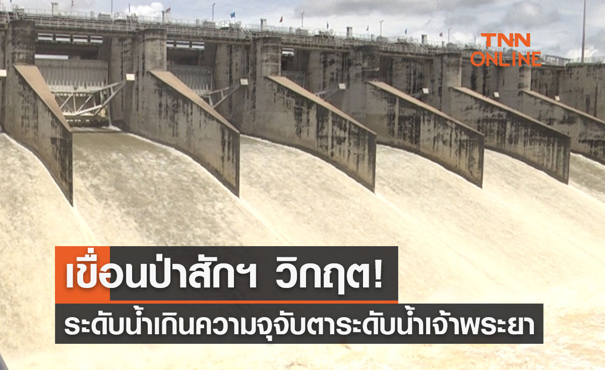 เขื่อนป่าสักฯ วิกฤต ระดับน้ำเกินความจุแล้ว จับตา! เจ้าพระยาระดับน้ำสูง