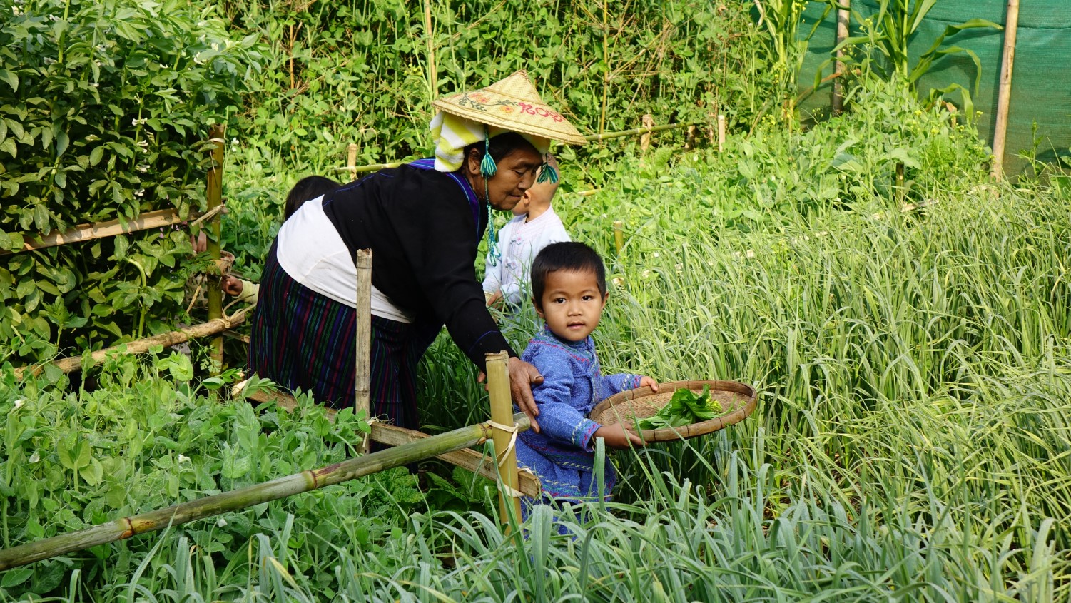 เครือข่าย ครู-ผู้ปกครอง-ชุมชน หนุนหลักสูตรการเล่นที่ ใครๆ ก็ทำได้ เครือข่าย ครู-ผู้ปกครอง-ชุมชน หนุนหลักสูตรการเล่นที่ ใครๆ ก็ทำได้