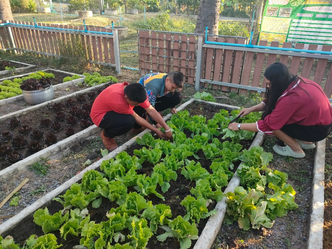 CPF ร่วมสร้างยุวเกษตรให้น้องๆรร.บ้านบุเขว้าจ.นครราชสีมา  ในโครงการคอนเน็กซ์ อีดี