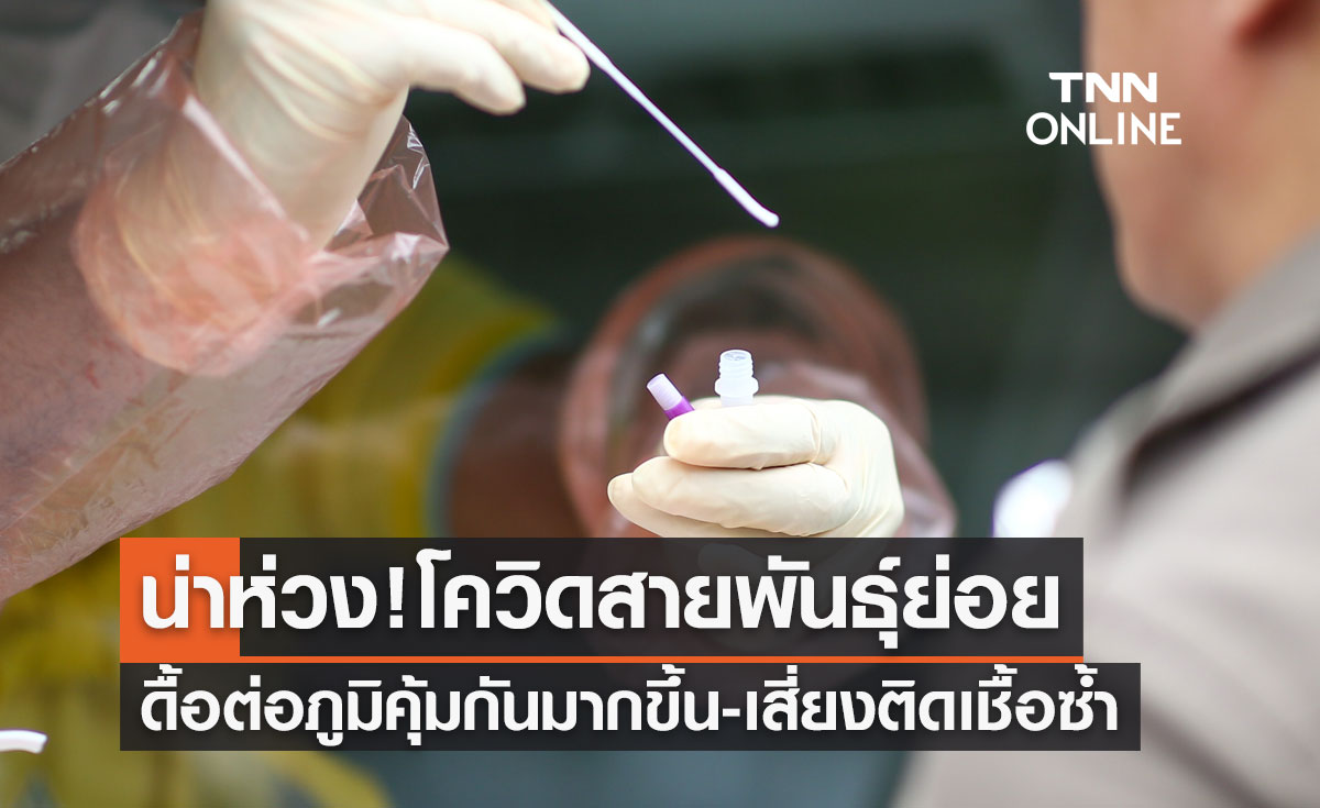 น่าห่วง! โควิดสายพันธุ์ย่อยดื้อต่อภูมิคุ้มกันมากขึ้น เสี่ยงต่อการติดเชื้อซ้ำ