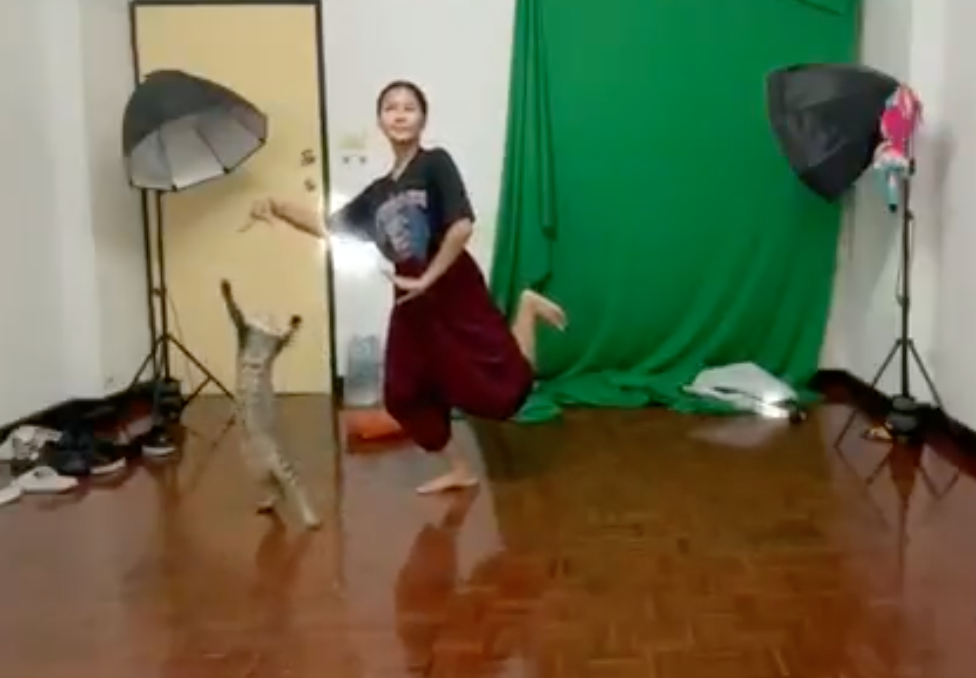 อุปสรรคเรียนออนไลน์! เหมียวป่วนเจ้าอัดท่ารำส่งอาจารย์ไม่เสร็จสักที อุปสรรคเรียนออนไลน์! เหมียวป่วนเจ้าอัดท่ารำส่งอาจารย์ไม่เสร็จสักที