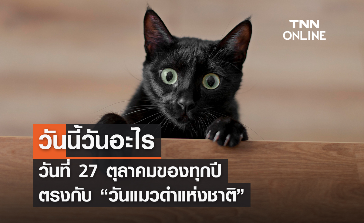 วันนี้วันอะไร 27 ตุลาคม ตรงกับ “วันแมวดำแห่งชาติ”