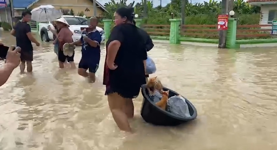 ฝนถล่มซ้ำระยองน้ำสูงขึ้นต่อเนื่องบางจุด 3 เมตร ปชช.เร่งอพยพของหนี