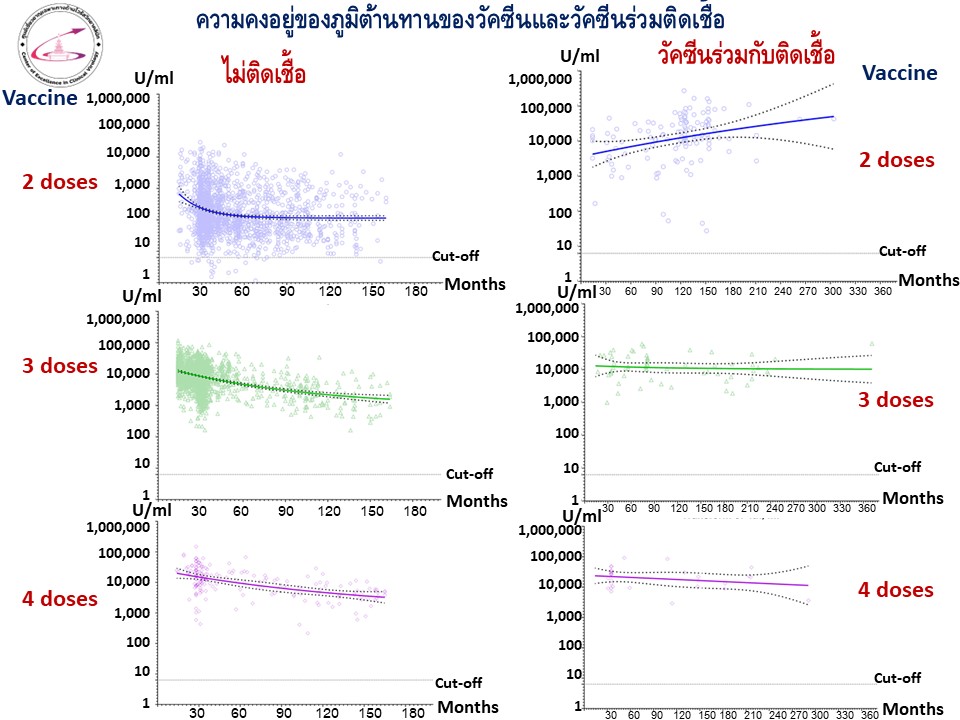 ภูมิต้านทานที่เกิดขึ้นจากการ ติดโควิดร่วมกับวัคซีน จะอยู่แค่ไหน?