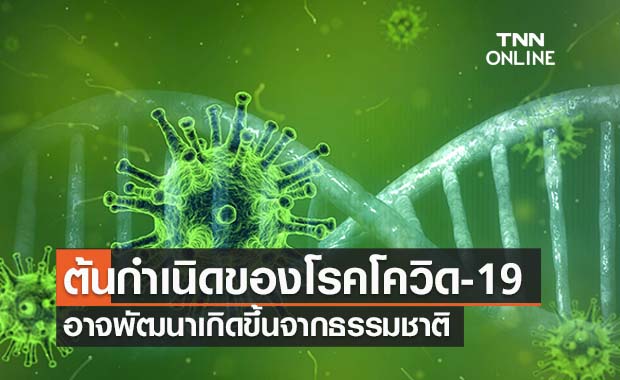 The Lancet ชี้ โควิด-19 น่าจะเกิดตามธรรมชาติมากกว่าหลุดจากห้องทดลอง