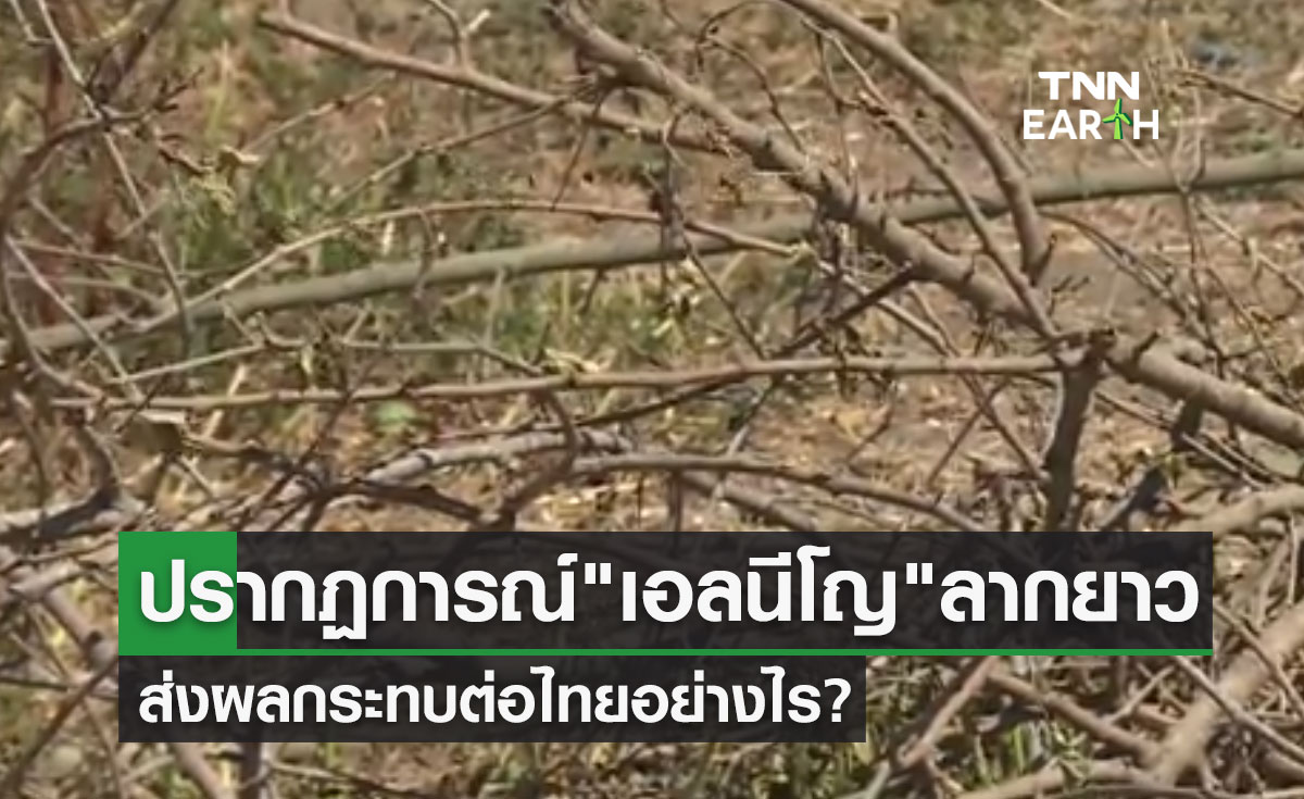ปรากฏการณ์ เอลนีโญ คาดลากยาวไปจนถึงปีหน้า ส่งผลกระทบต่อไทยอย่างไร?