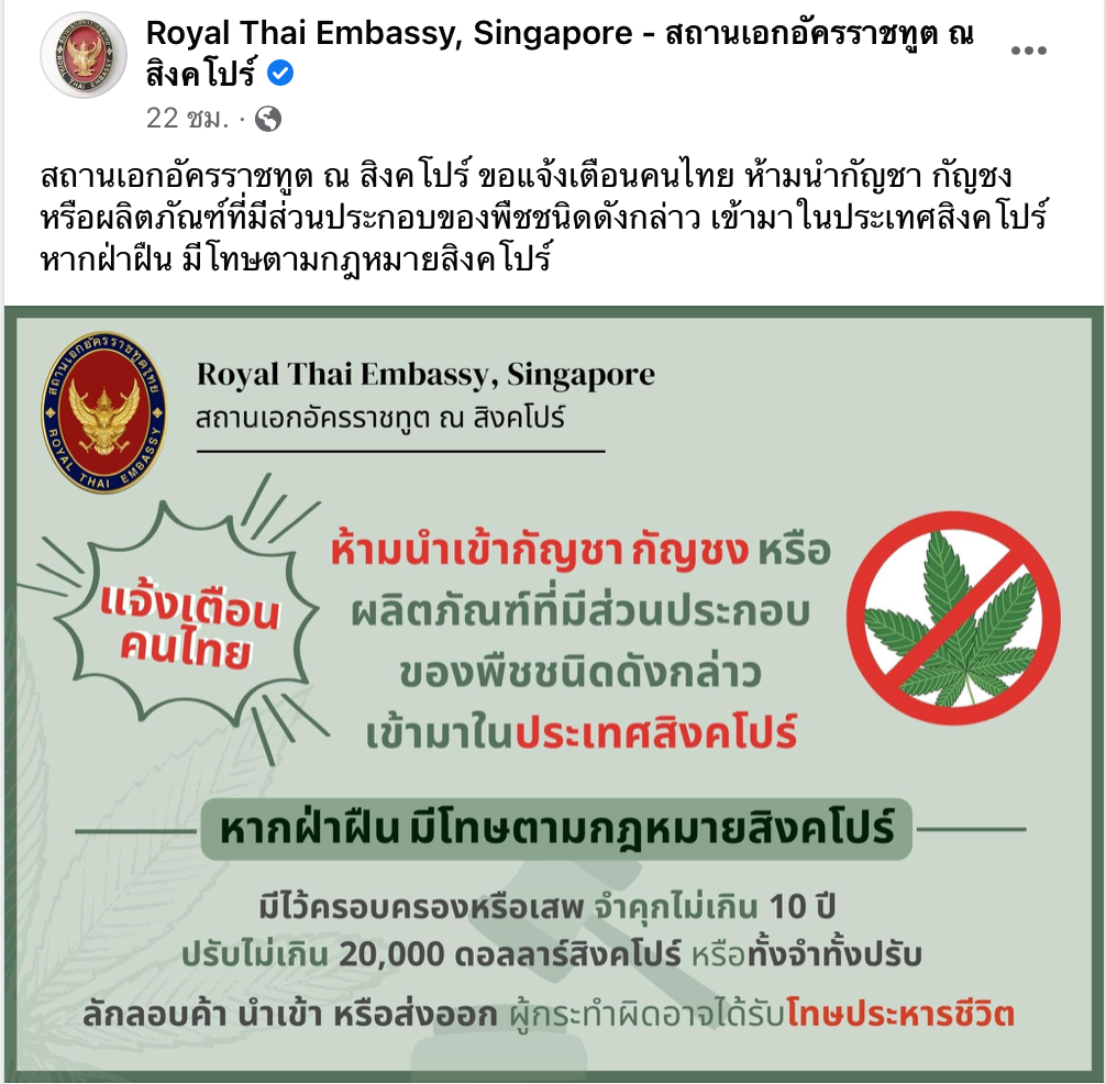 ปลดล็อกกัญชาระวัง! สถานทูตเตือนห้ามพกเข้าสิงคโปร์ โทษสูงสุดประหาร ปลดล็อกกัญชาระวัง! สถานทูตเตือนห้ามพกเข้าสิงคโปร์ โทษสูงสุดประหาร